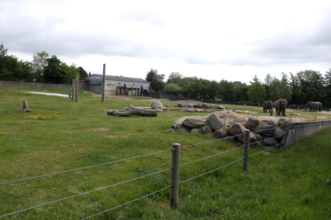 Givskud Zoo - Elephant exhibit