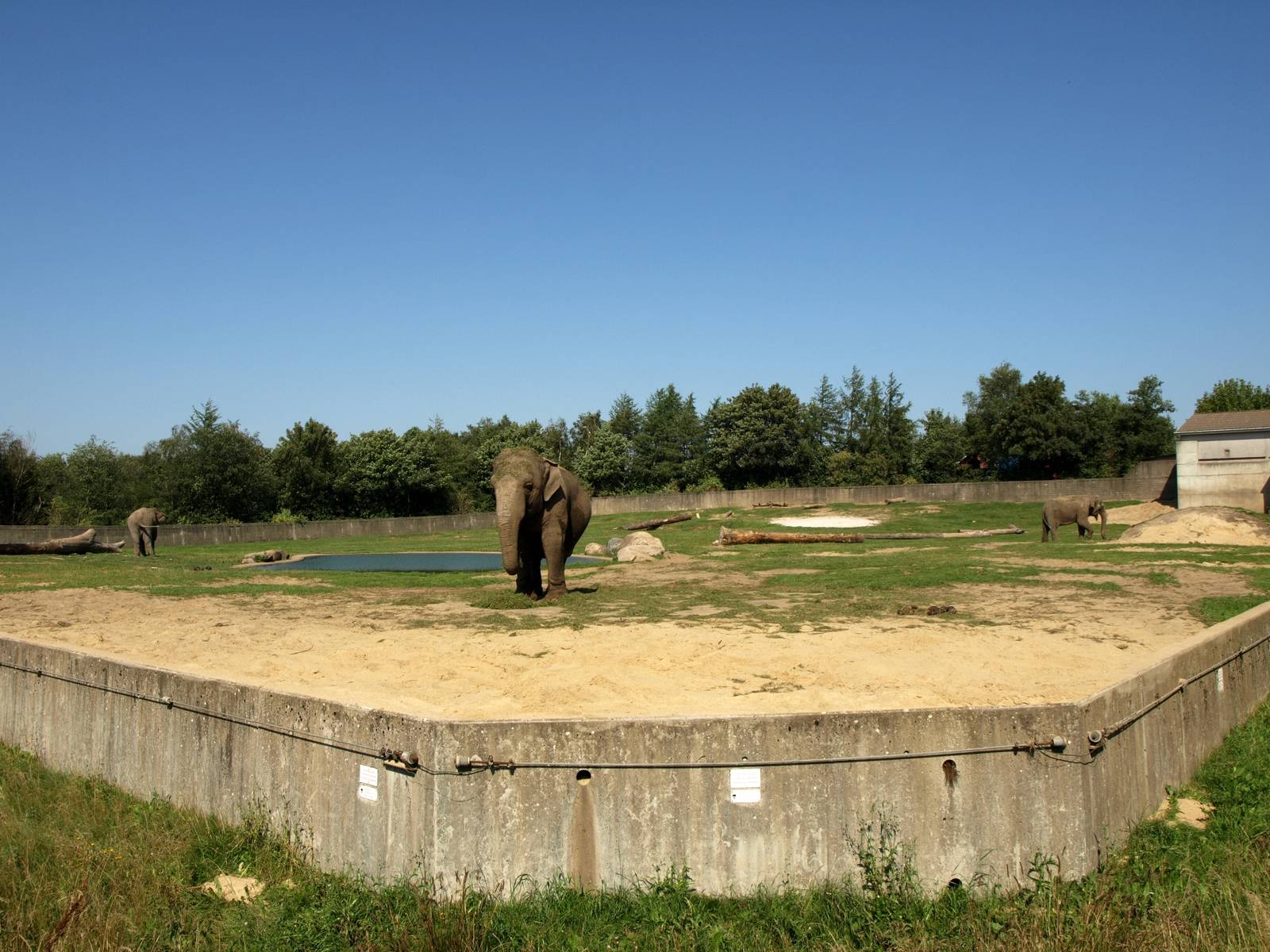 Givskud Zoo - Elephant paddock
