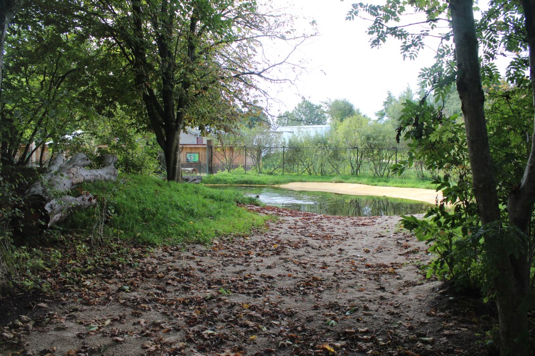 Givskud Zoo - Giant Otter Exhibit