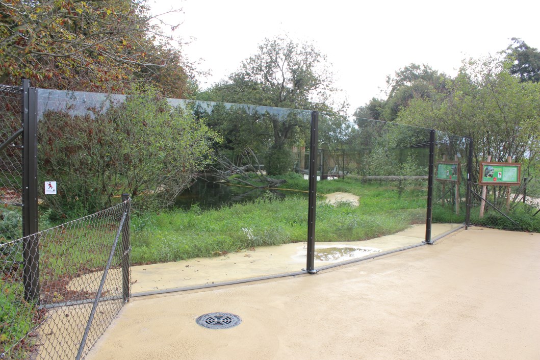 Givskud Zoo - Giant Otter Exhibit