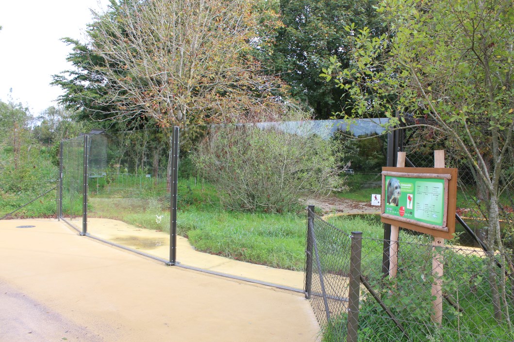 Givskud Zoo - Giant Otter Exhibit