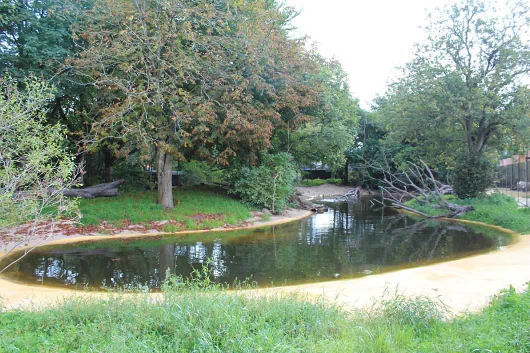 Givskud Zoo - Giant Otter Exhibit