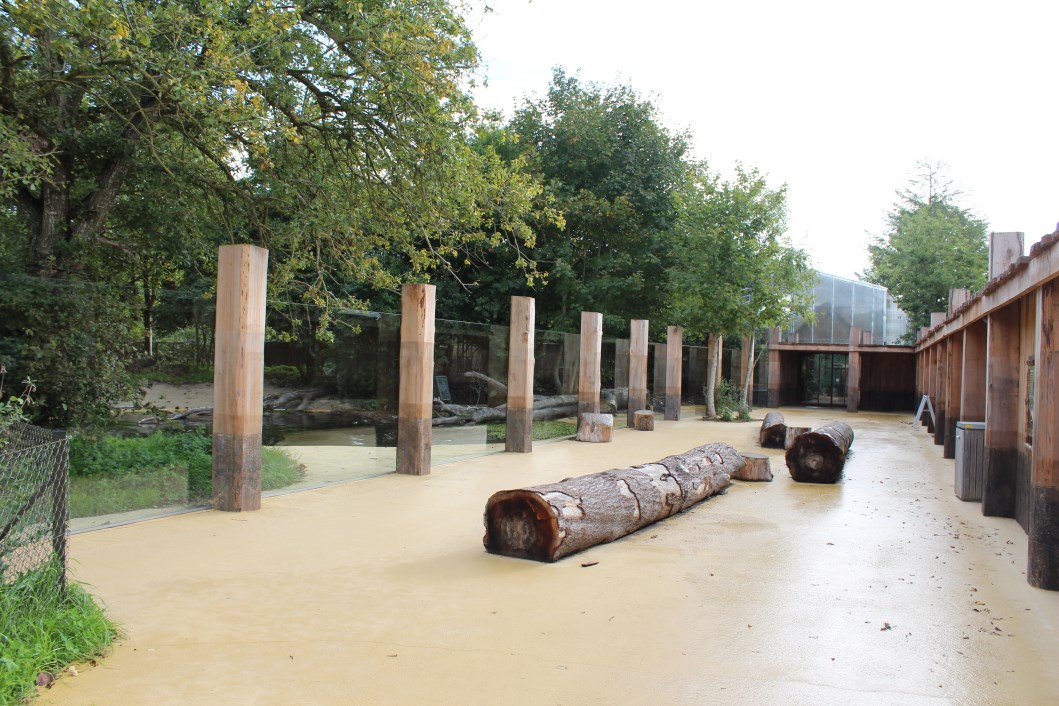 Givskud Zoo - Giant Otter Exhibit