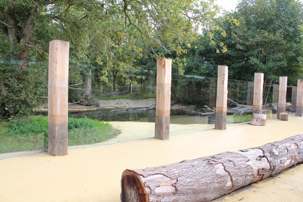 Givskud Zoo - Giant Otter Exhibit