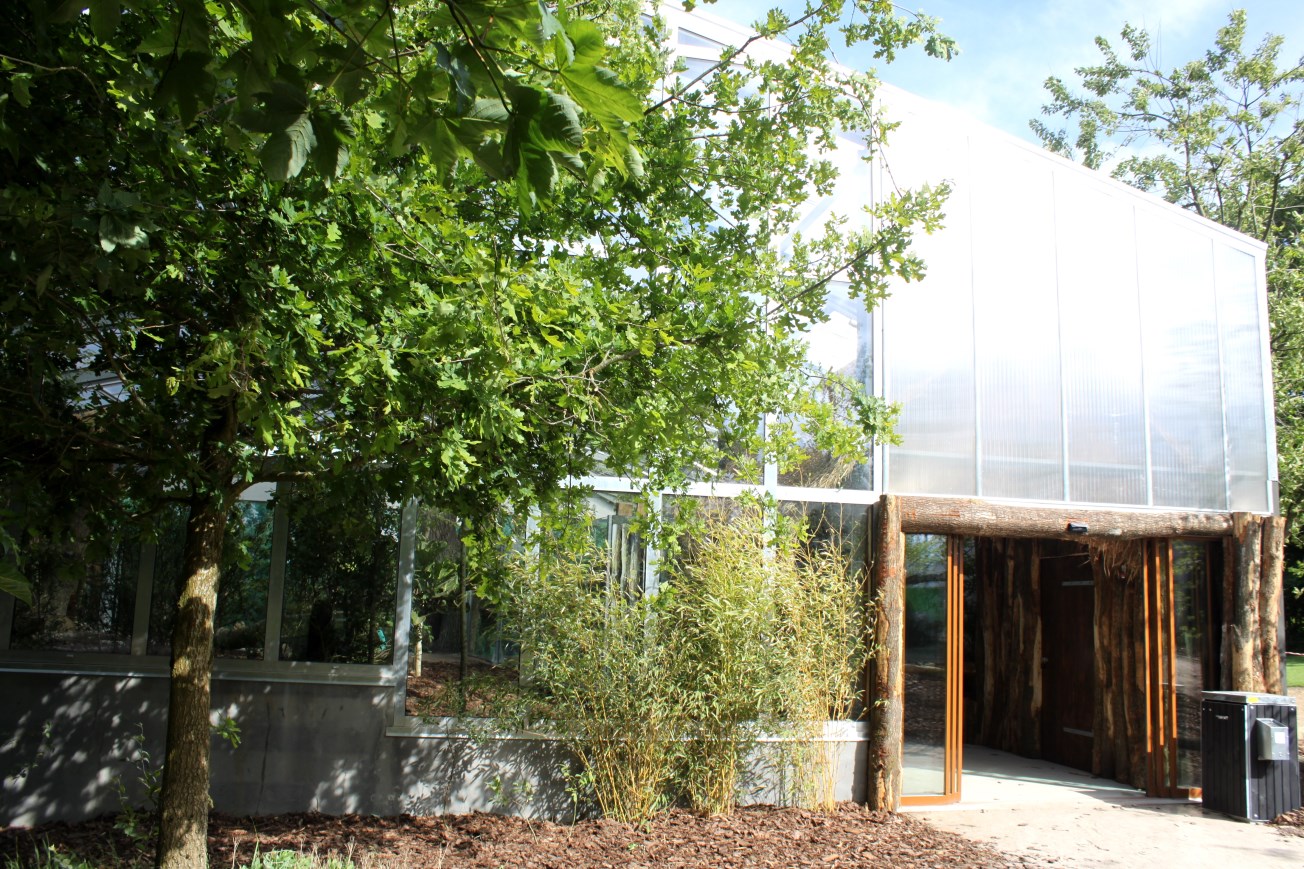 Givskud Zoo - Giant Otter Tropical House