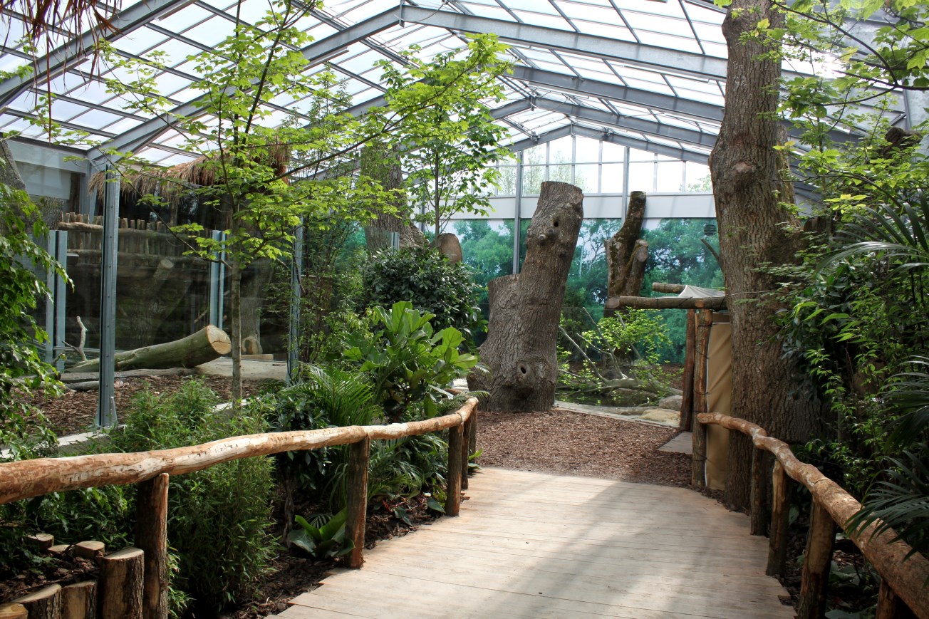 Givskud Zoo - Giant Otter Tropical House