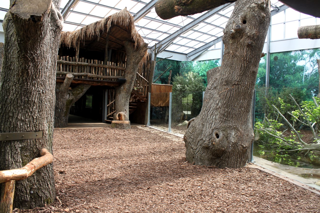 Givskud Zoo - Giant Otter Tropical House