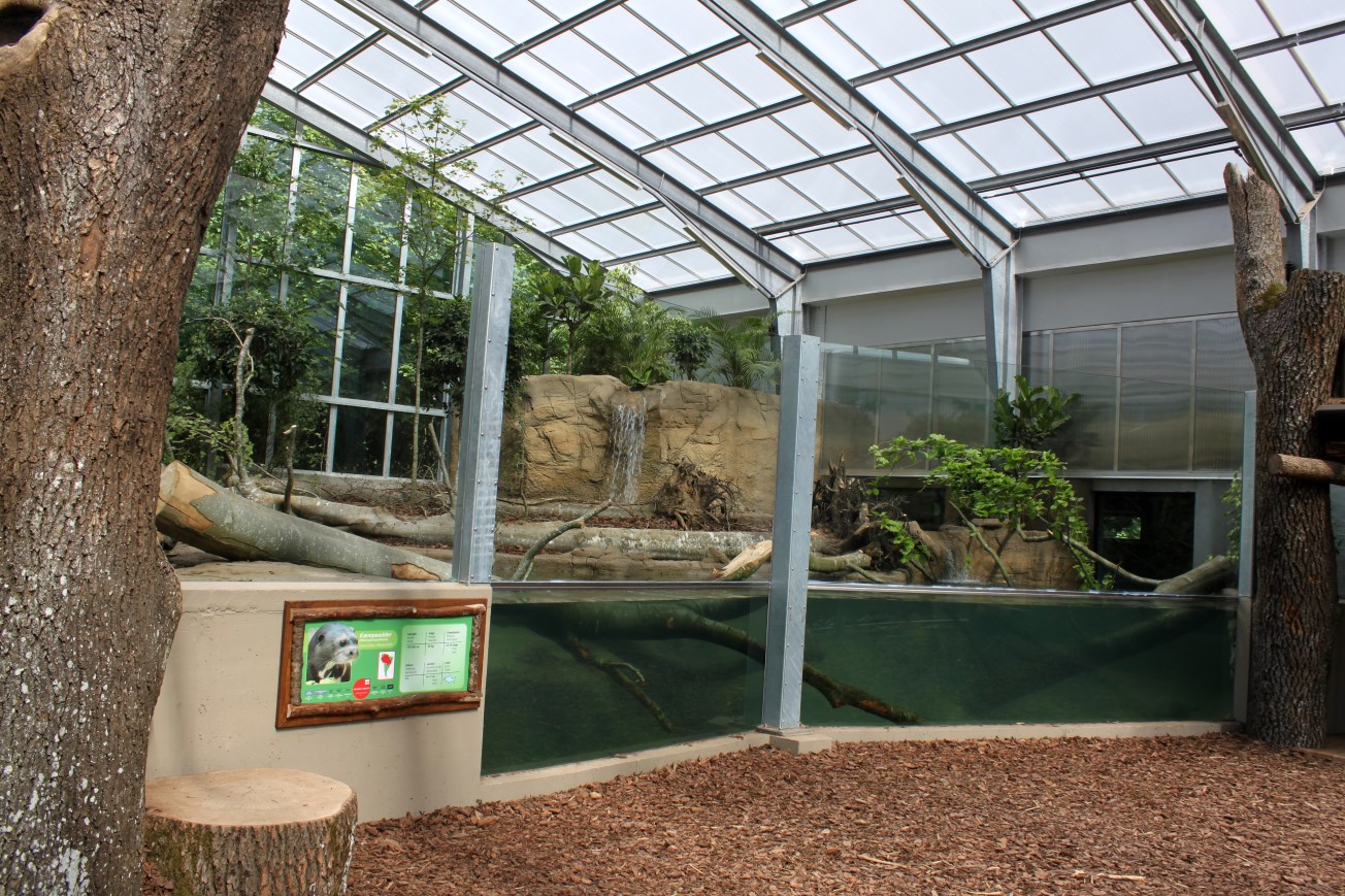 Givskud Zoo - Giant Otter Tropical House