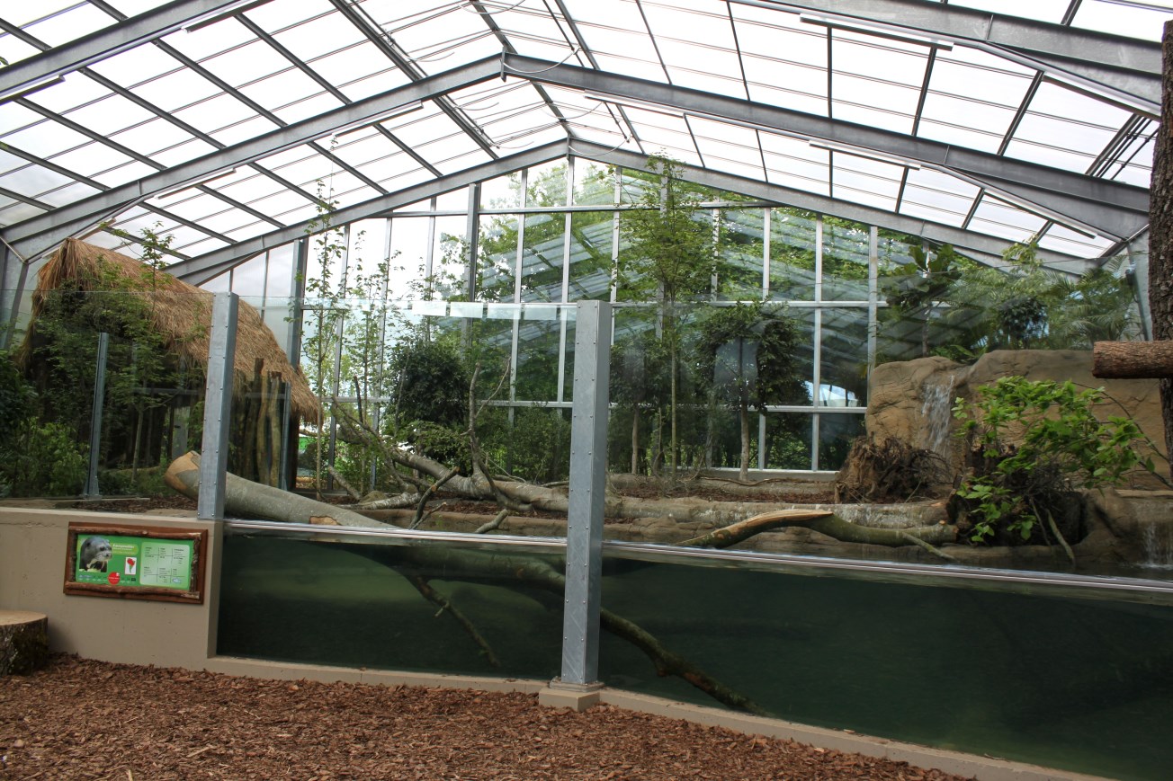Givskud Zoo - Giant Otter Tropical House