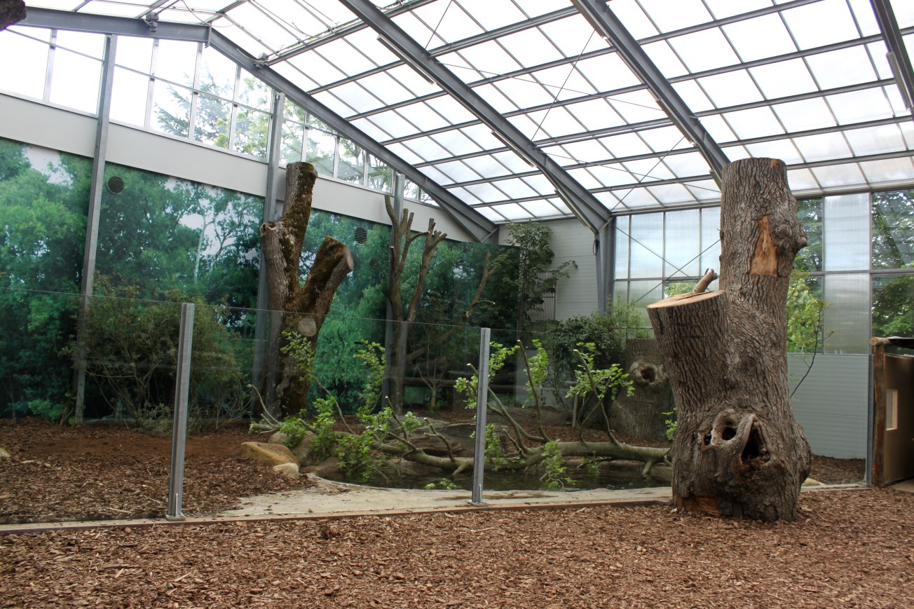 Givskud Zoo - Giant Otter Tropical House