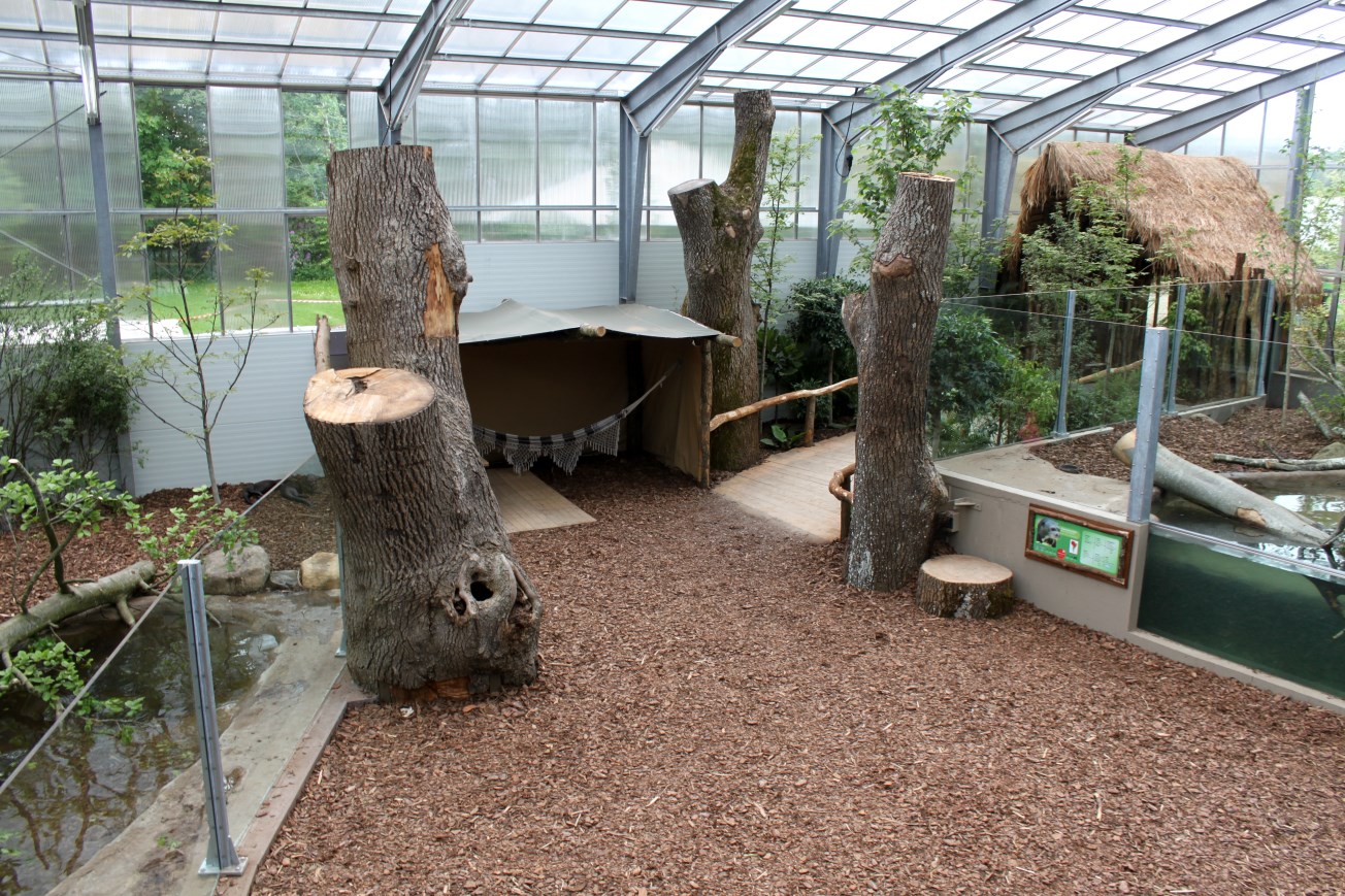 Givskud Zoo - Giant Otter Tropical House
