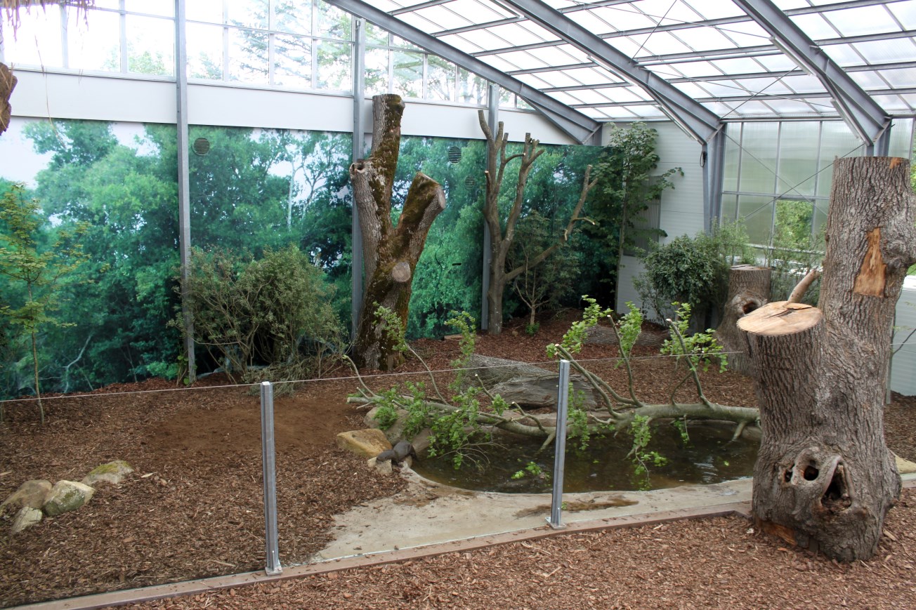 Givskud Zoo - Giant Otter Tropical House