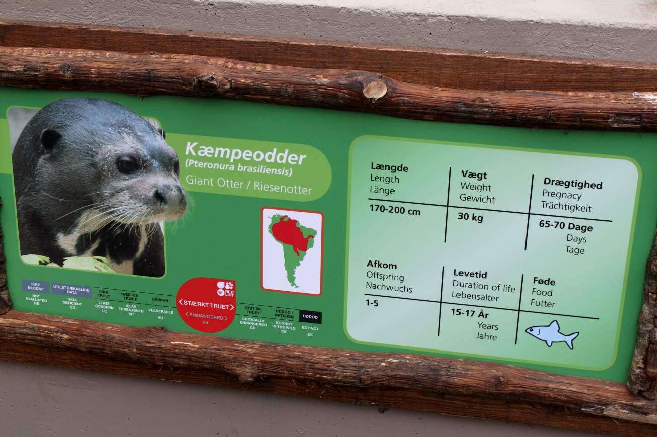 Givskud Zoo - Giant Otter Tropical House
