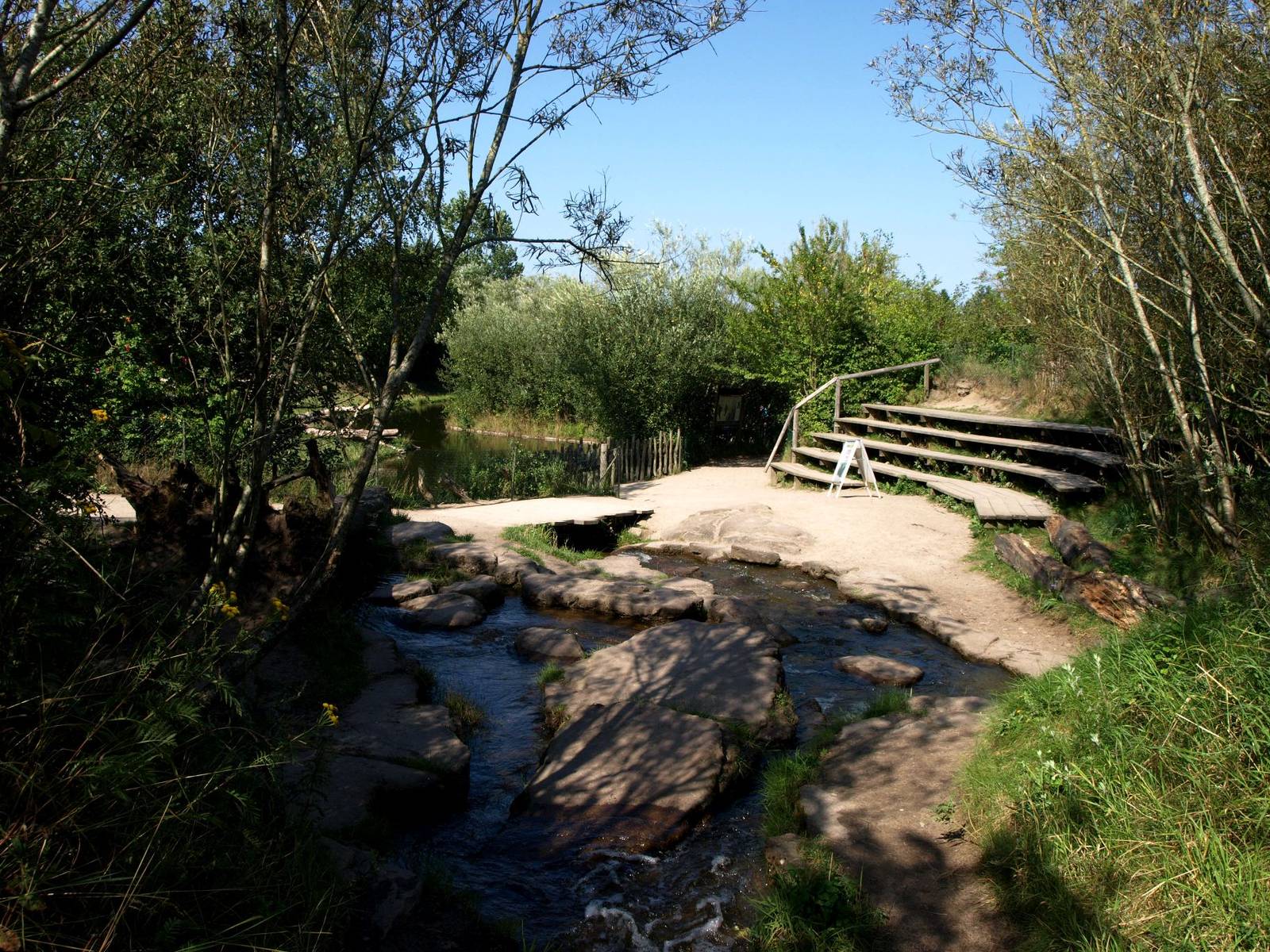 Givskud Zoo - Gorilla amphitheatre