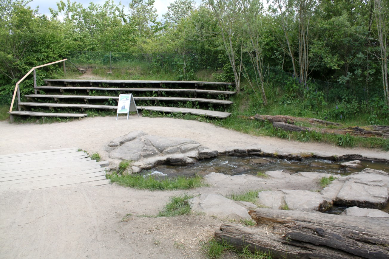 Givskud Zoo - Gorilla Exhibit (Amphiteatre)