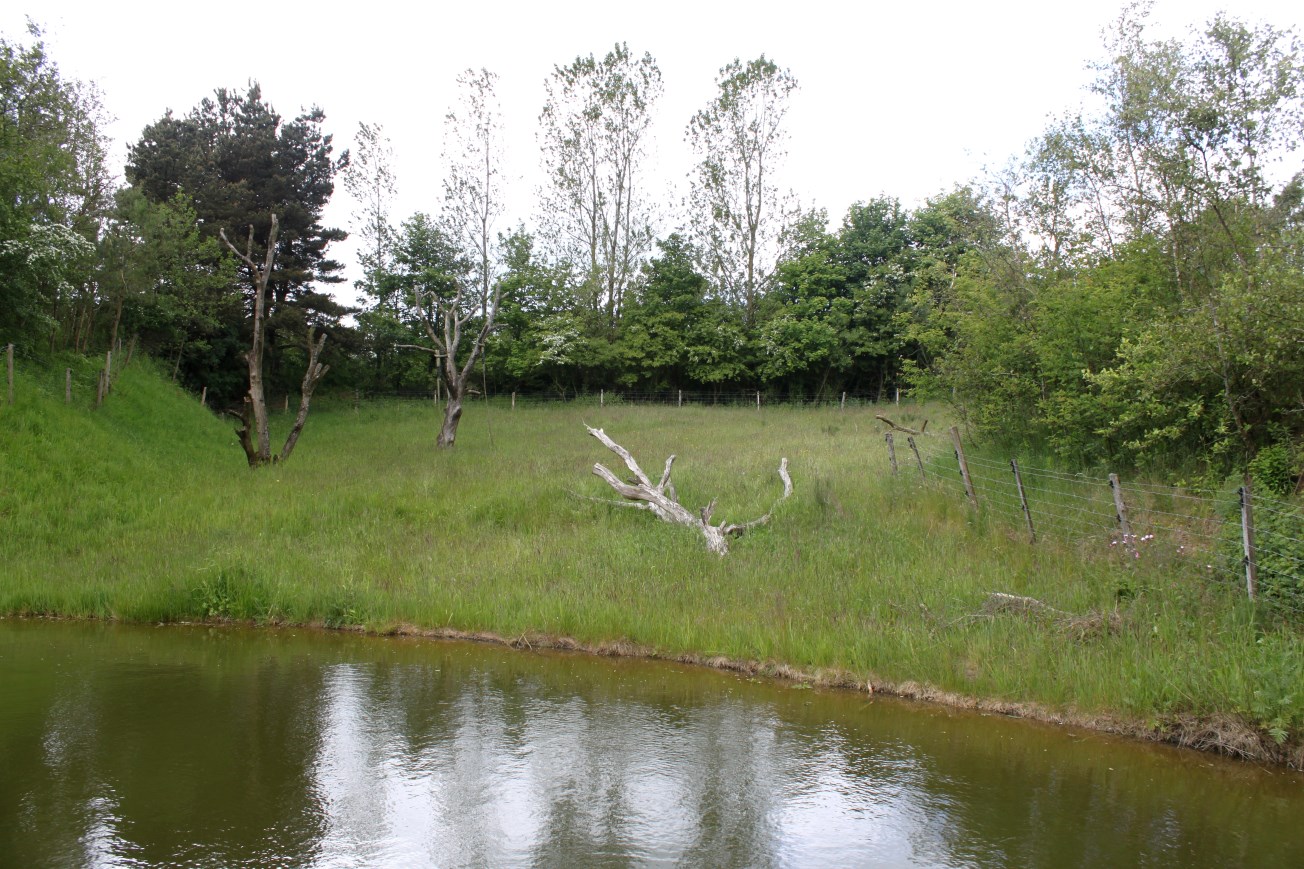 Givskud Zoo - Gorilla Exhibit (Main exhibit)