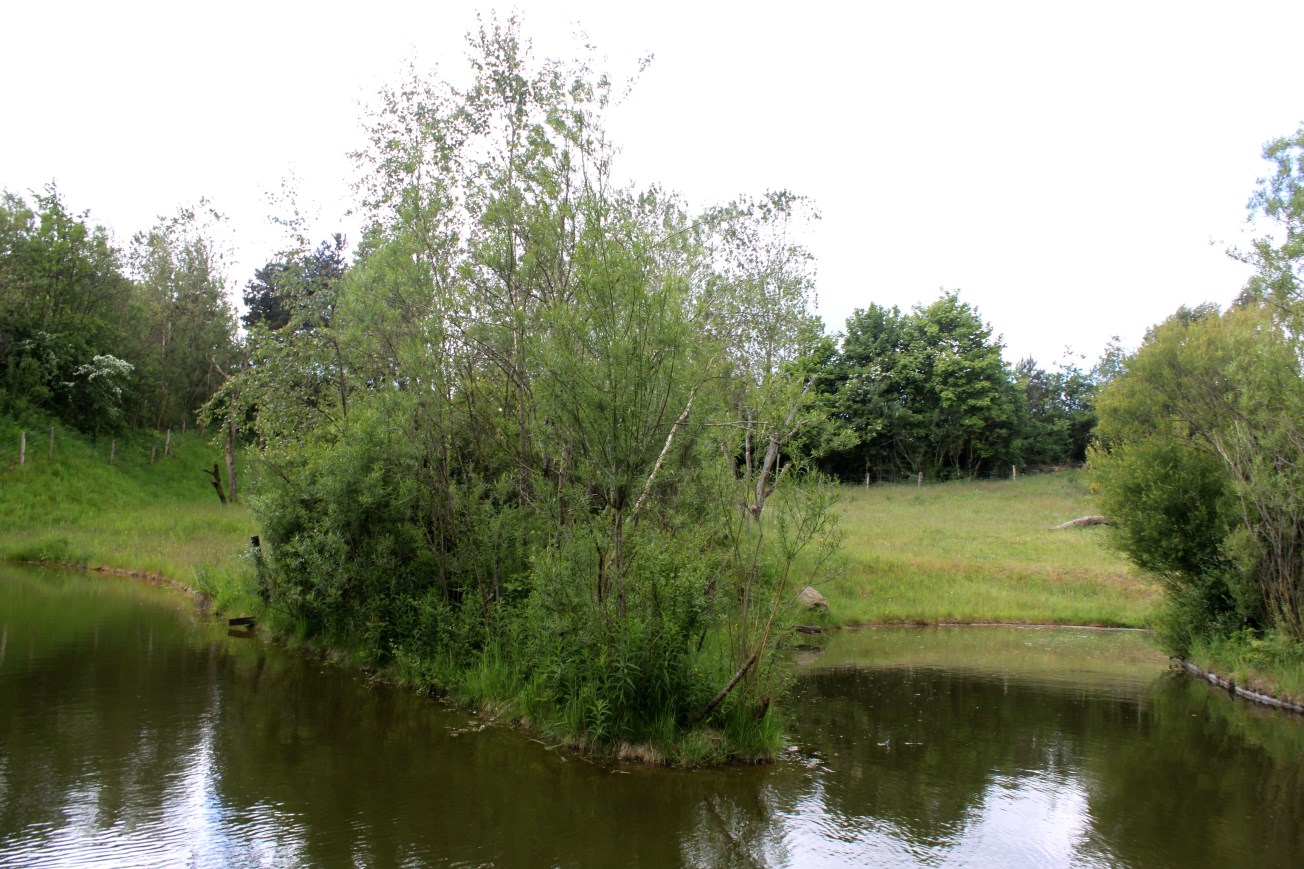 Givskud Zoo - Gorilla Exhibit (Main exhibit)
