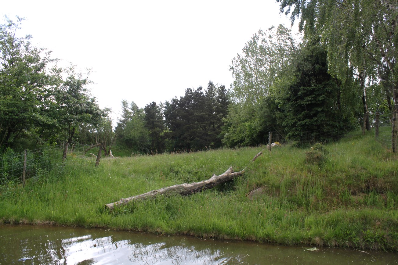 Givskud Zoo - Gorilla Exhibit (Main exhibit)