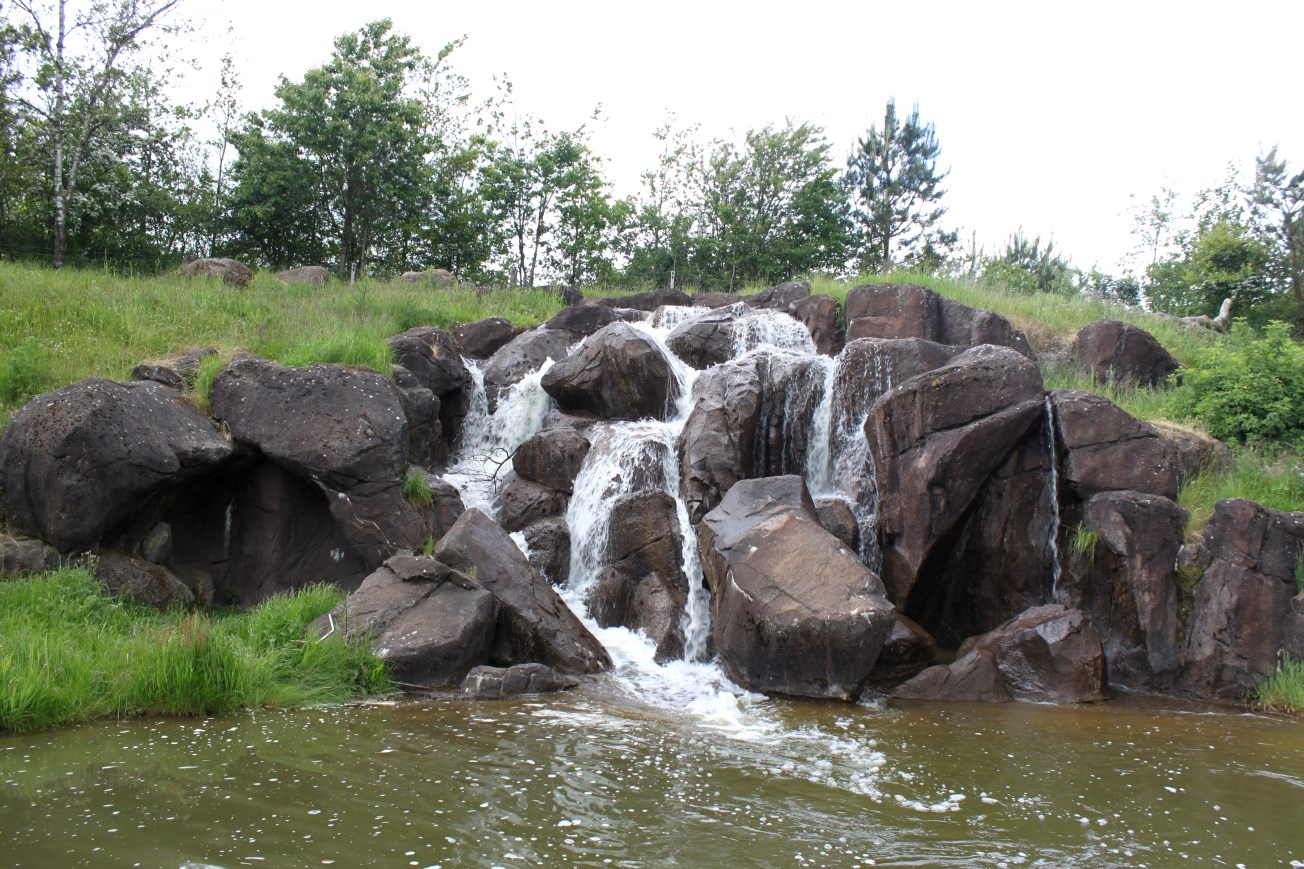 Givskud Zoo - Gorilla Exhibit (Main exhibit)