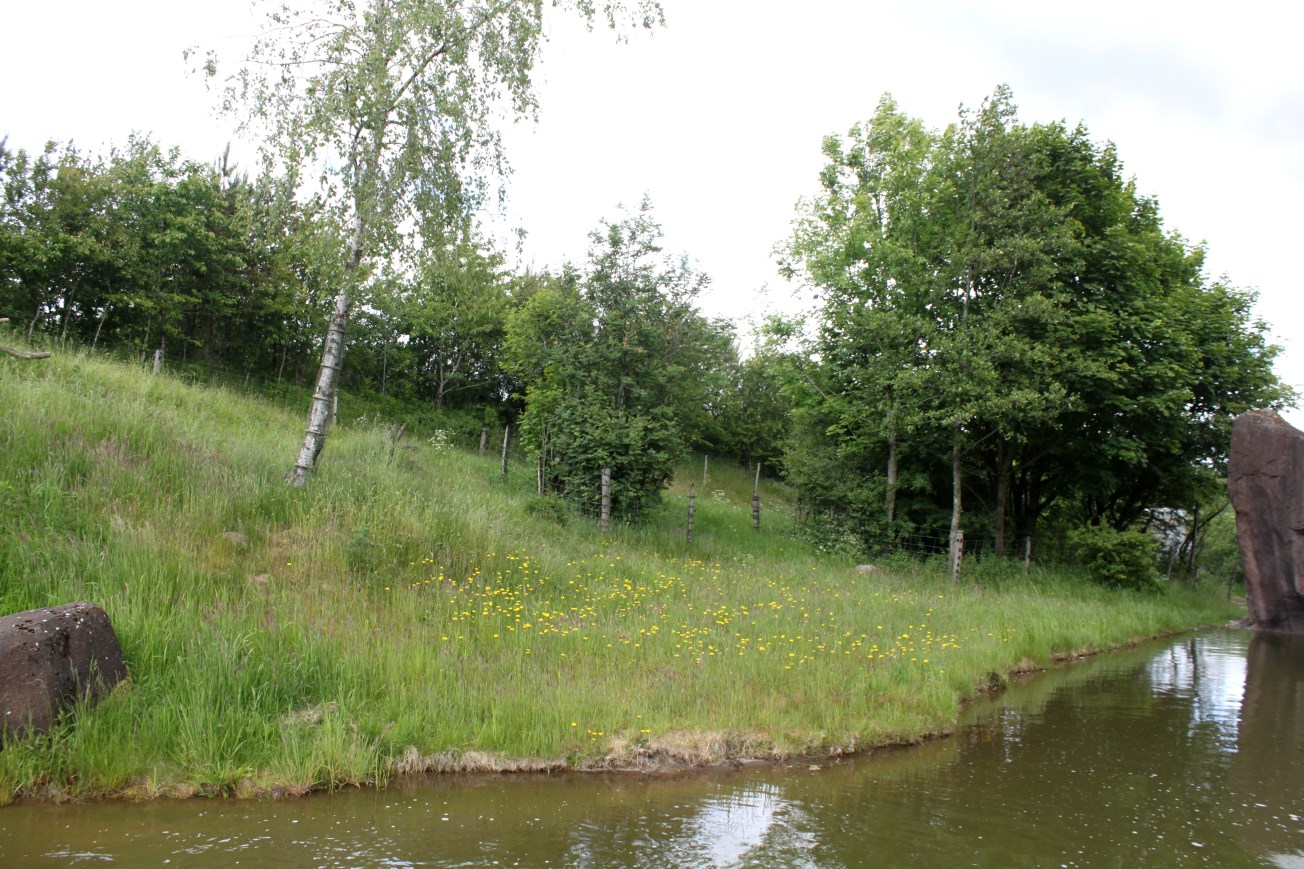 Givskud Zoo - Gorilla Exhibit (Main exhibit)
