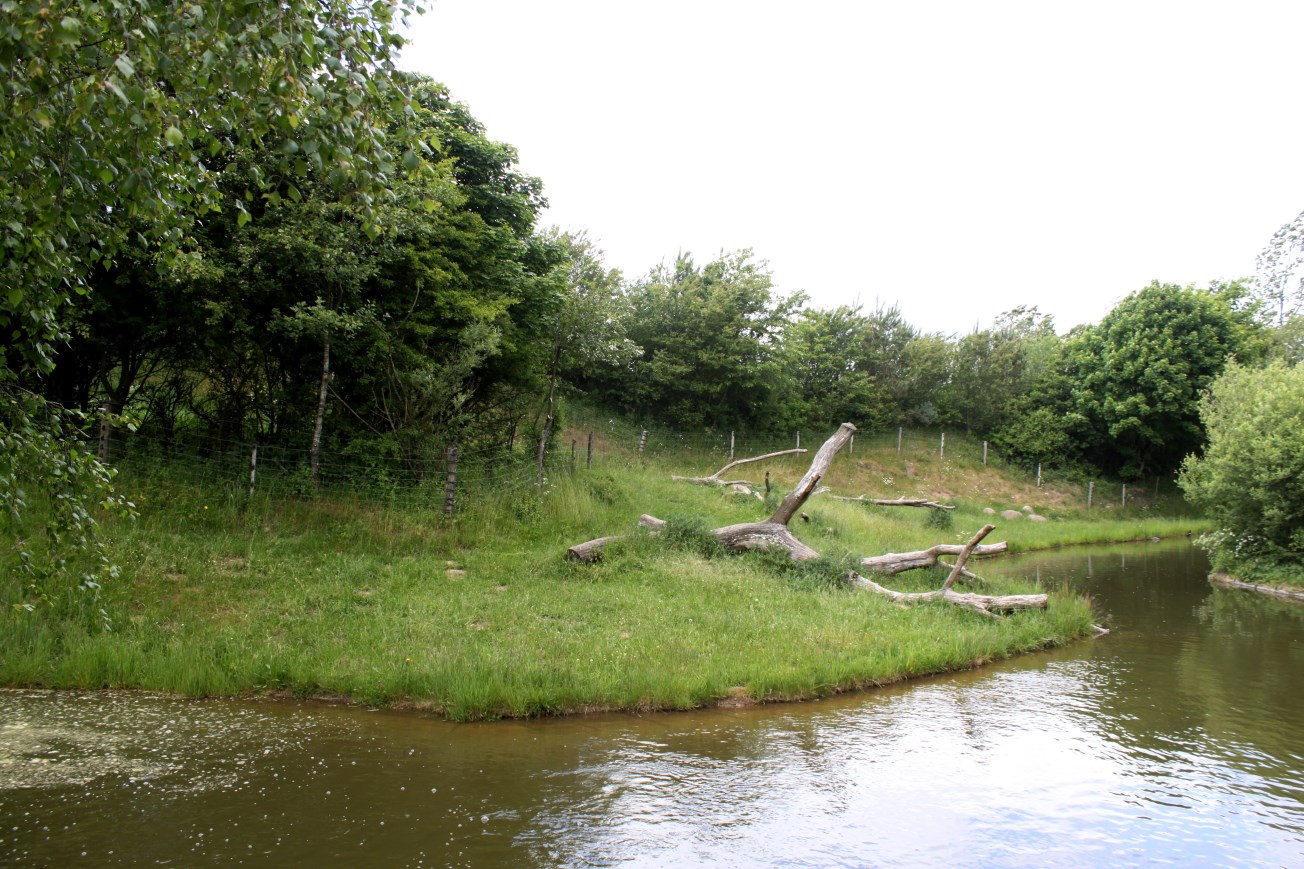 Givskud Zoo - Gorilla Exhibit (Main)