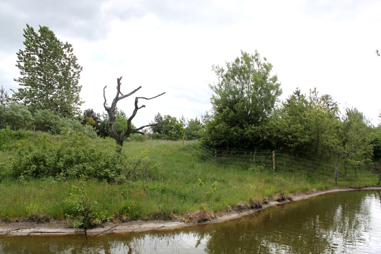 Givskud Zoo - Gorilla Exhibit (Secondary exhibit)
