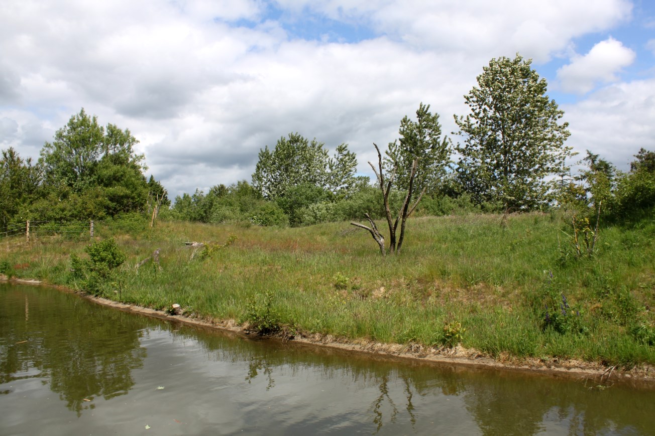 Givskud Zoo - Gorilla Exhibit (Secondary exhibit)