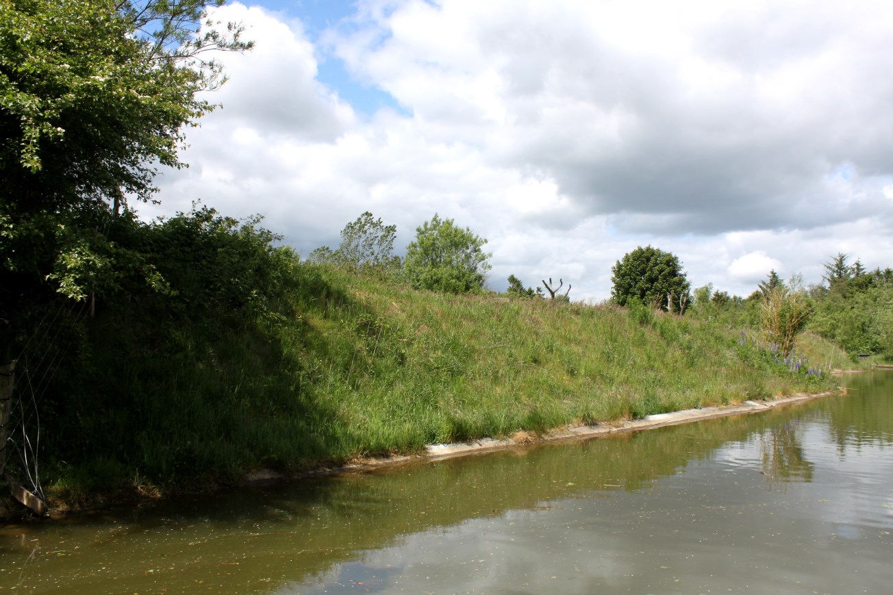 Givskud Zoo - Gorilla Exhibit (Secondary exhibit)