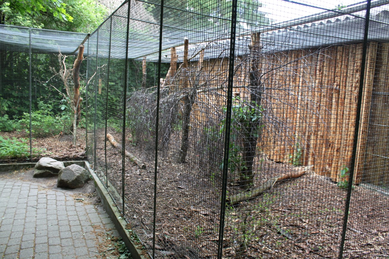 Givskud Zoo - Grey parrot aviary