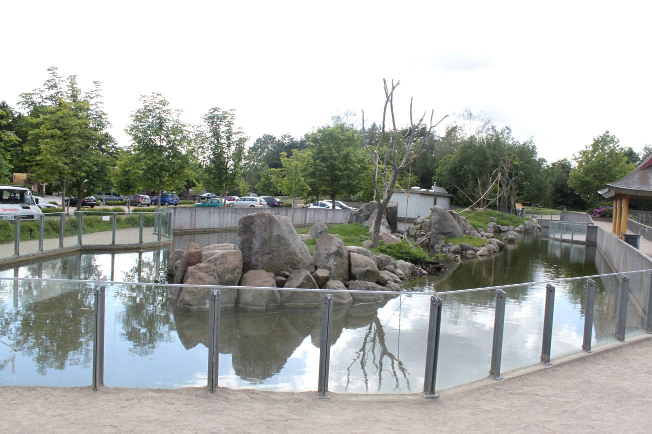 Givskud Zoo - Java macaque exhibit