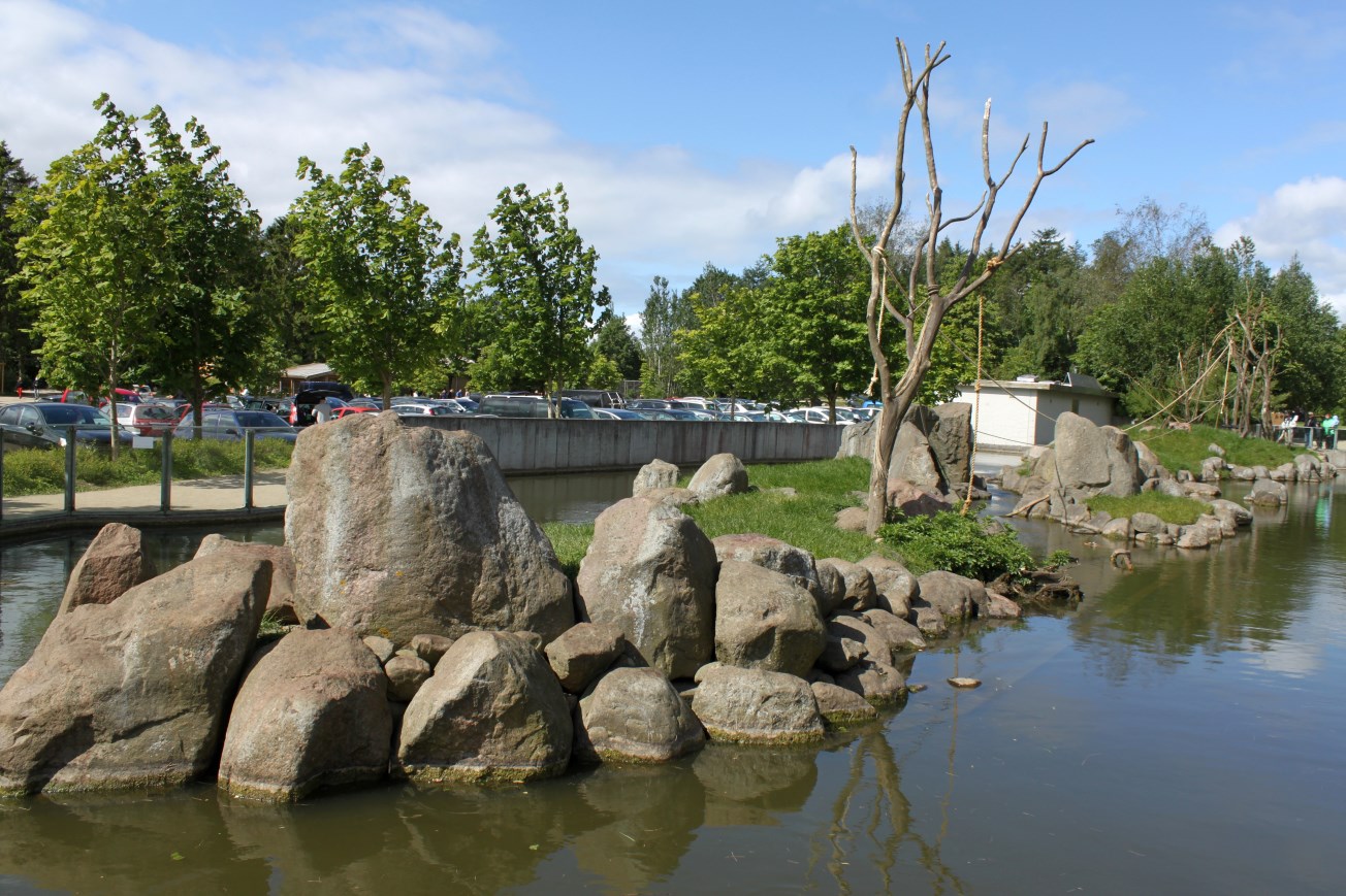 Givskud Zoo - Java macaque exhibit