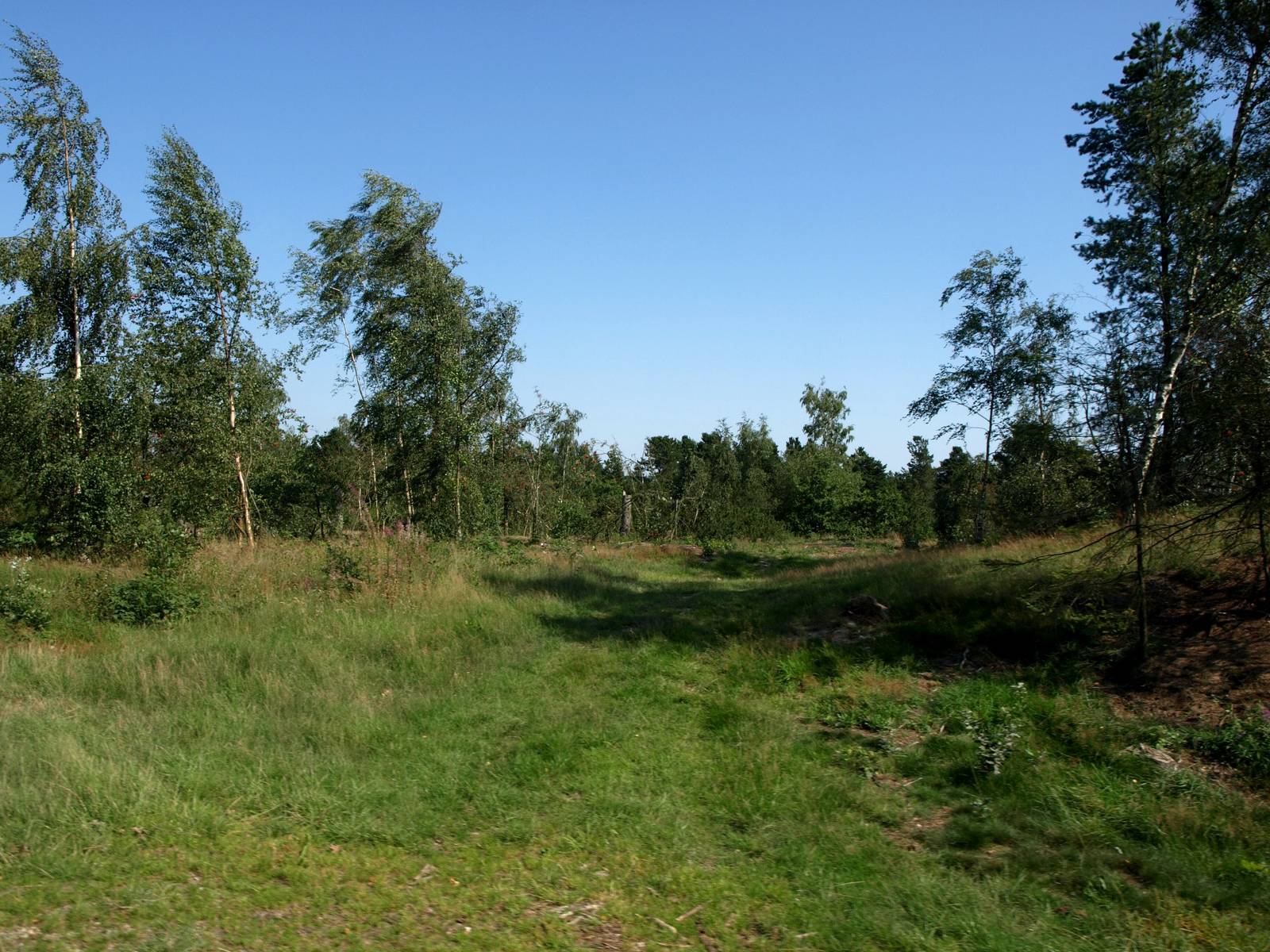 Givskud Zoo - Lion enclosure