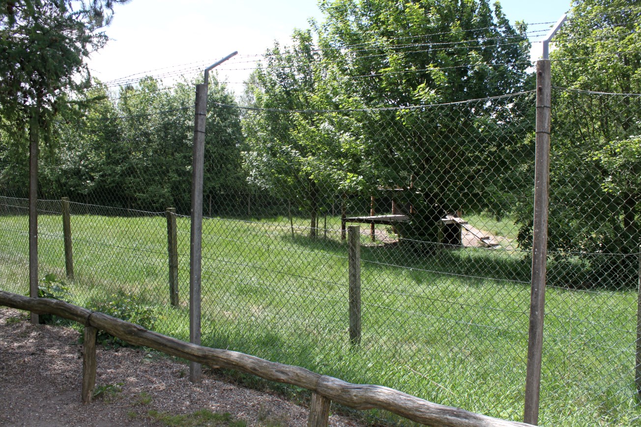Givskud Zoo - Lion exhibit