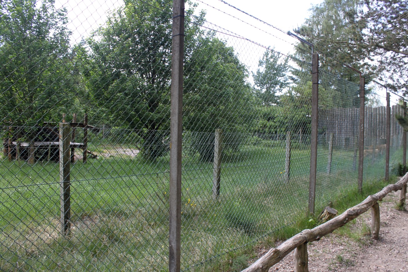 Givskud Zoo - Lion exhibit