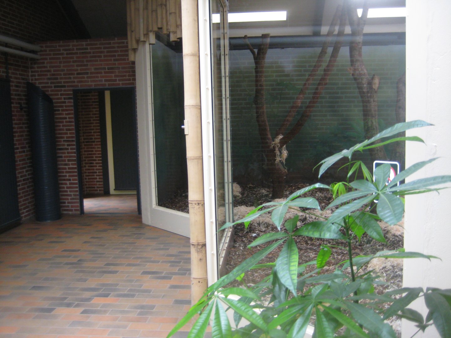 Givskud Zoo - Macaque house