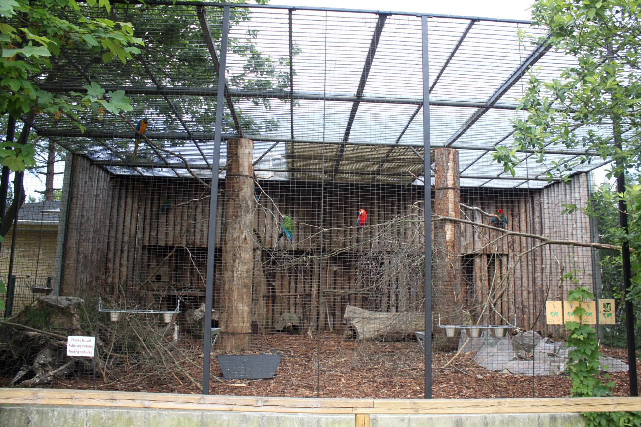 Givskud Zoo - Macaw aviary