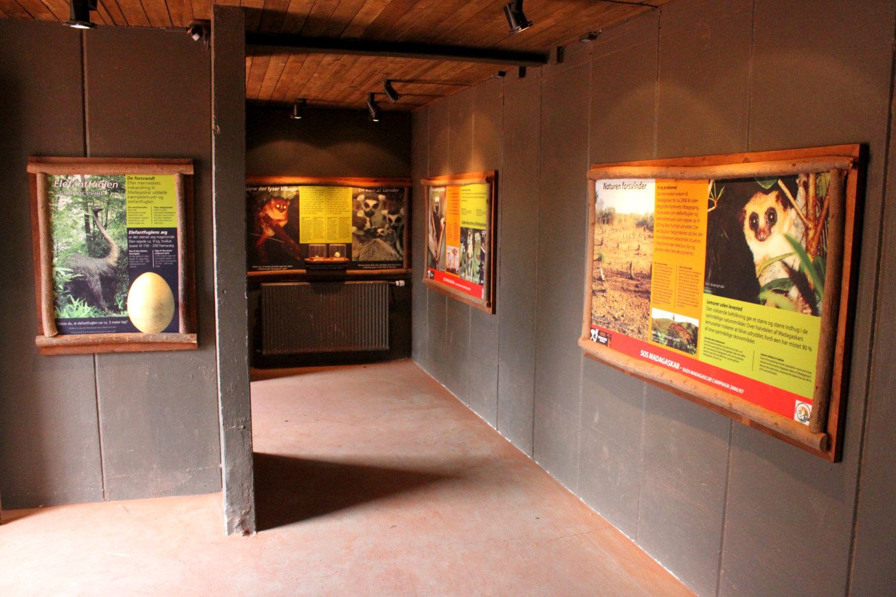 Givskud Zoo - Madagascar Island (House)