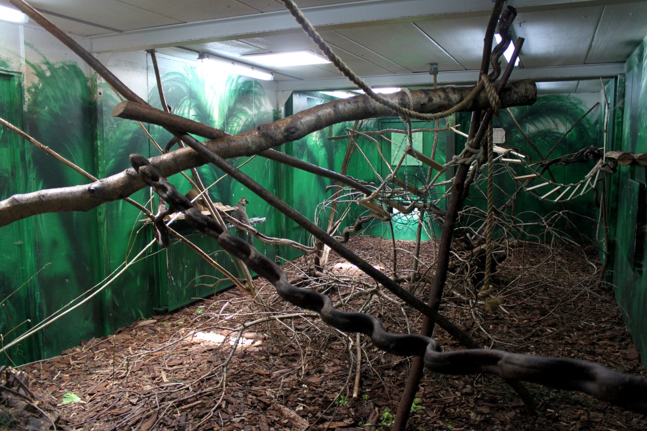 Givskud Zoo - Madagascar Island (House)