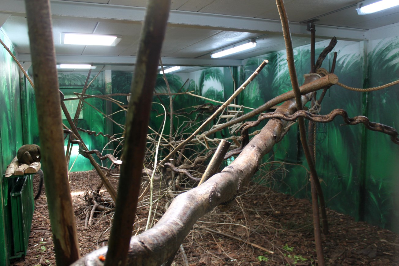 Givskud Zoo - Madagascar Island (House)