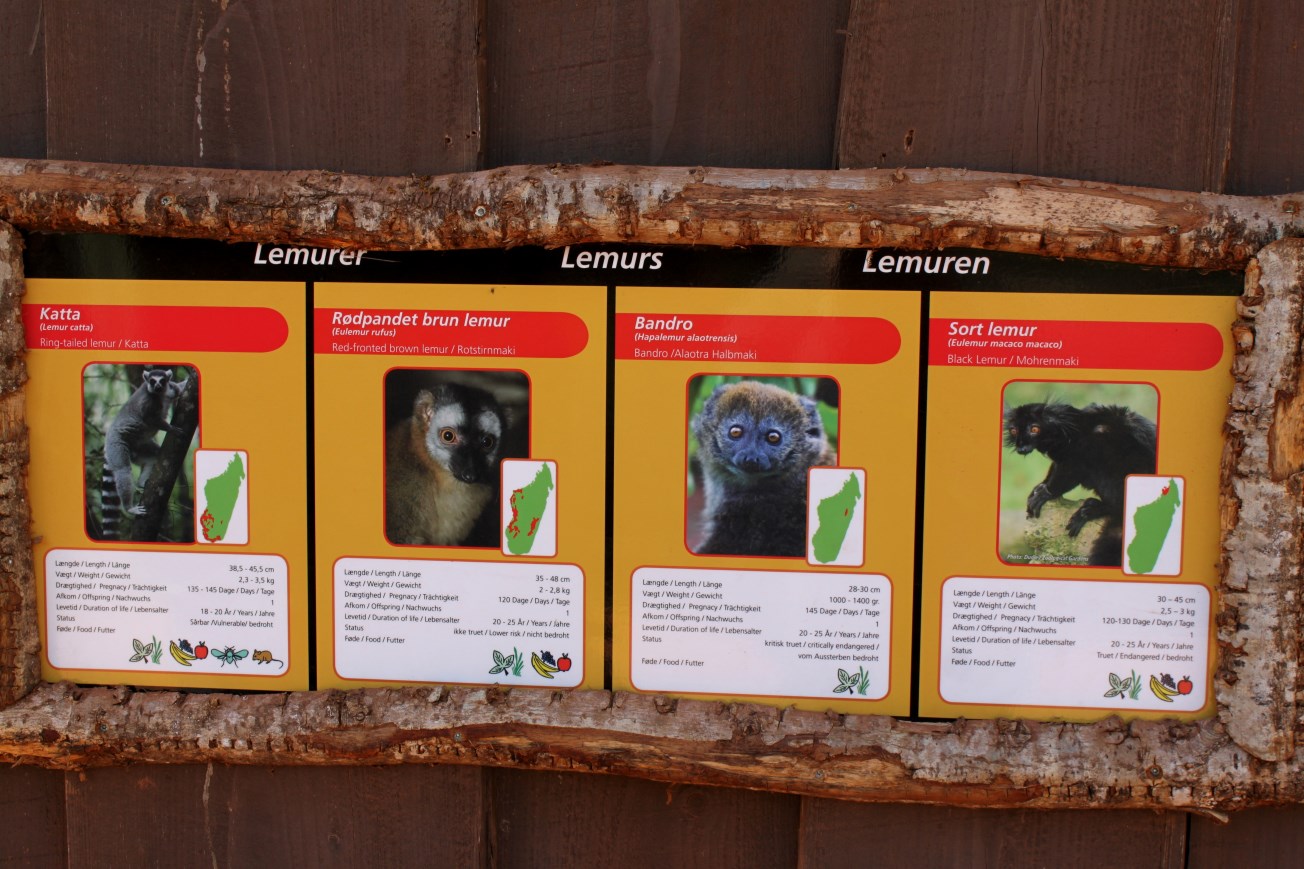 Givskud Zoo - Madagascar Island (Signage)
