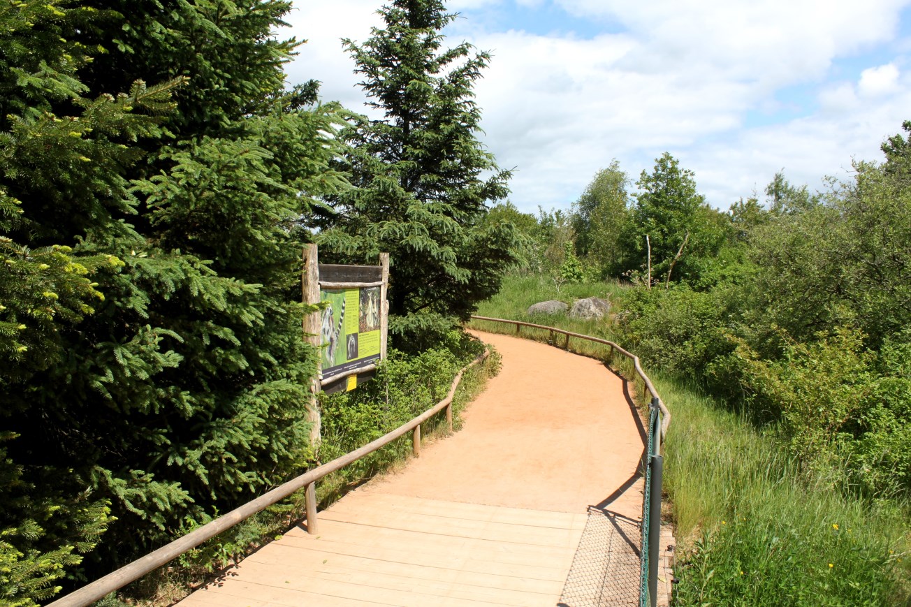 Givskud Zoo - Madagascar Island