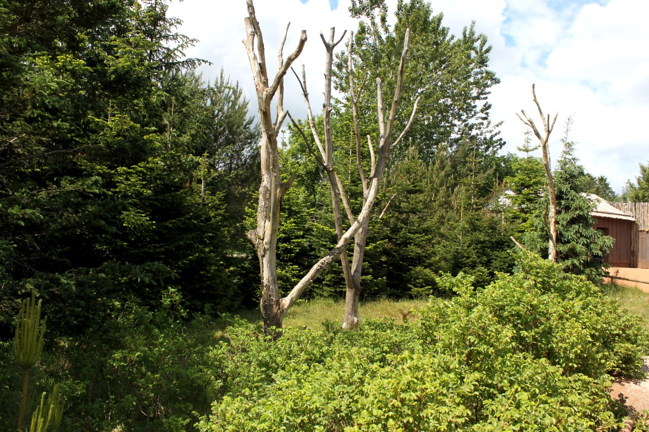 Givskud Zoo - Madagascar Island