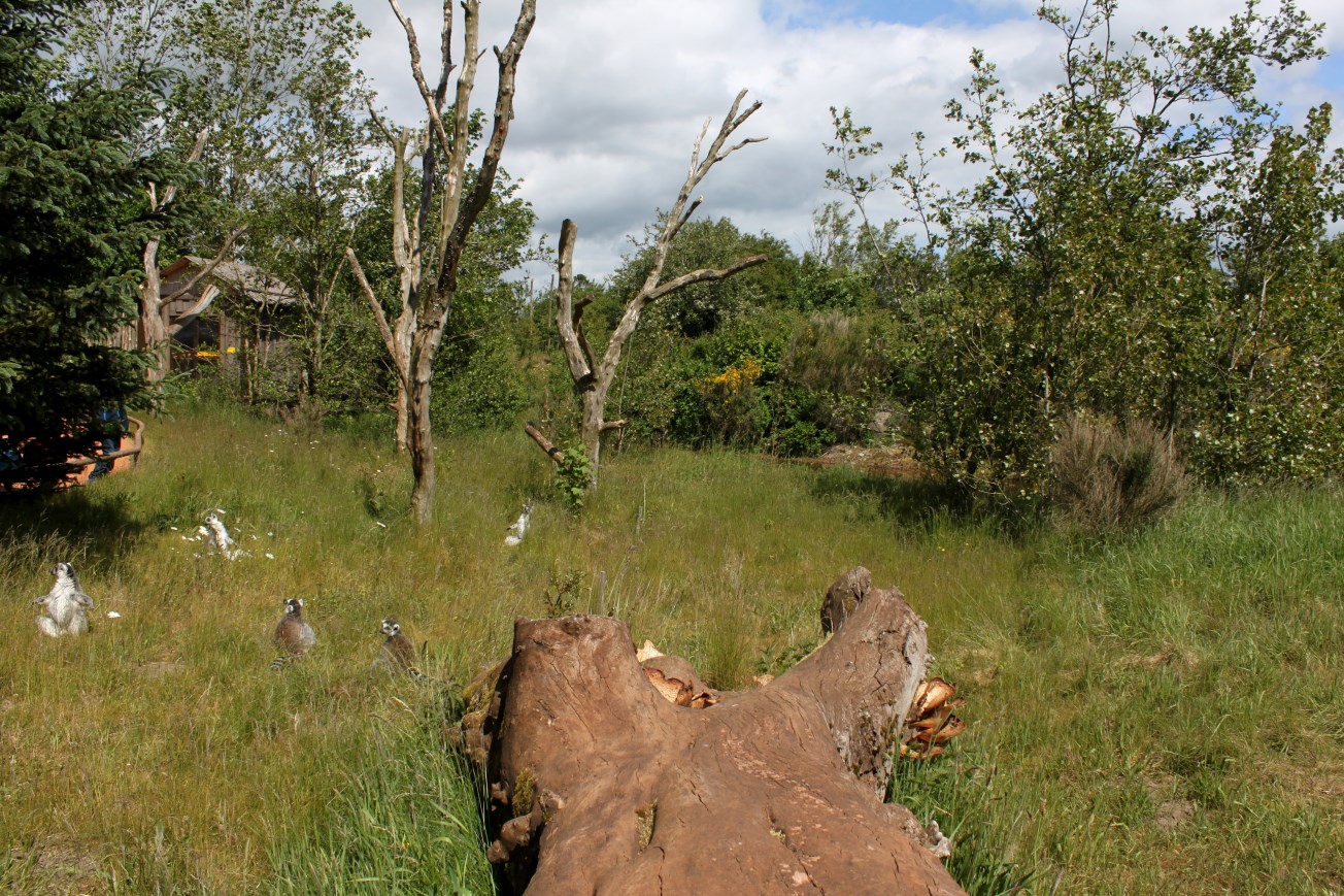 Givskud Zoo - Madagascar Island
