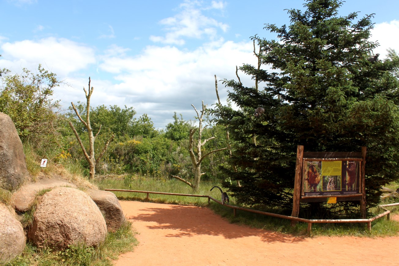 Givskud Zoo - Madagascar Island