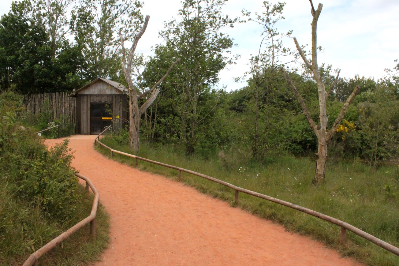 Givskud Zoo - Madagascar Island