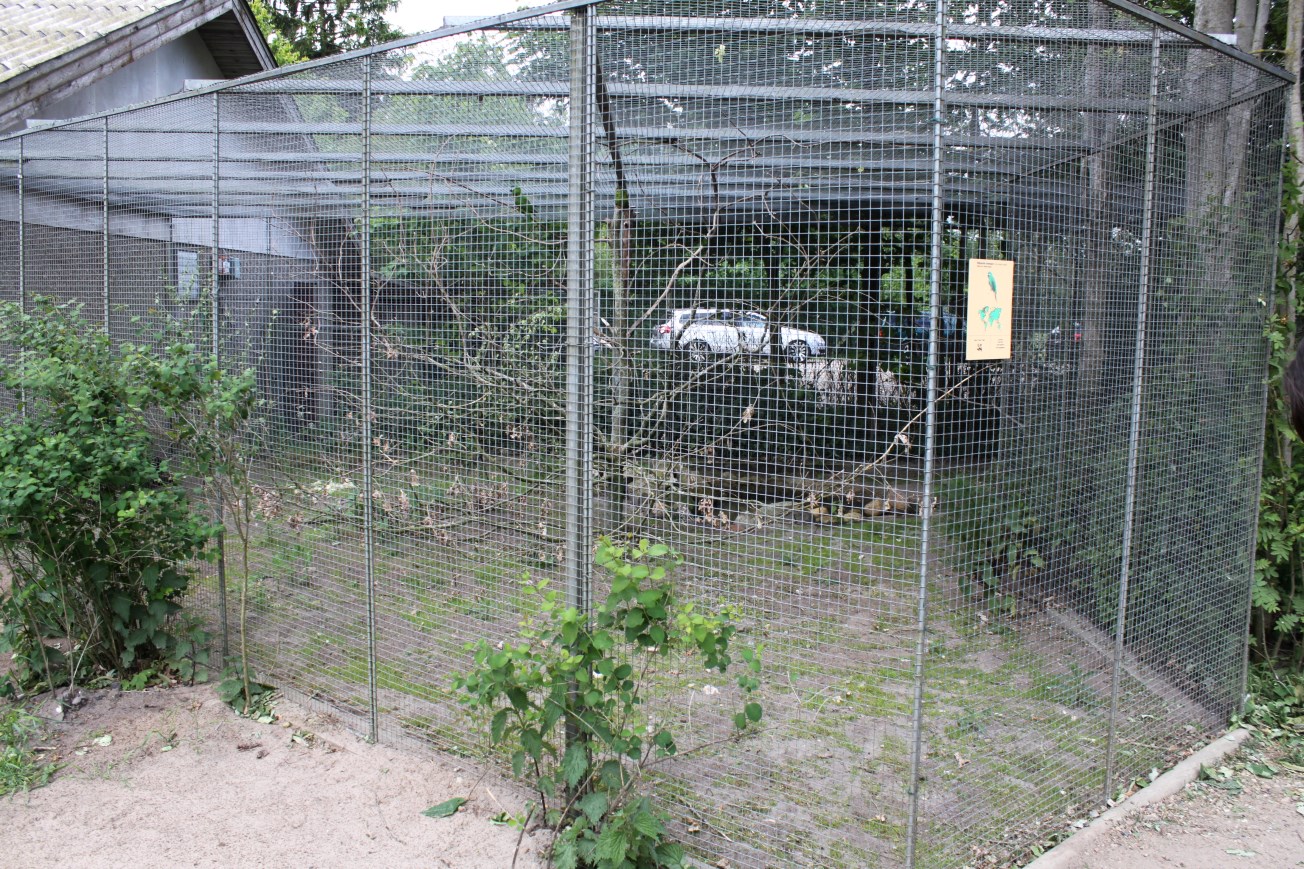 Givskud Zoo - Monk parakeet aviary