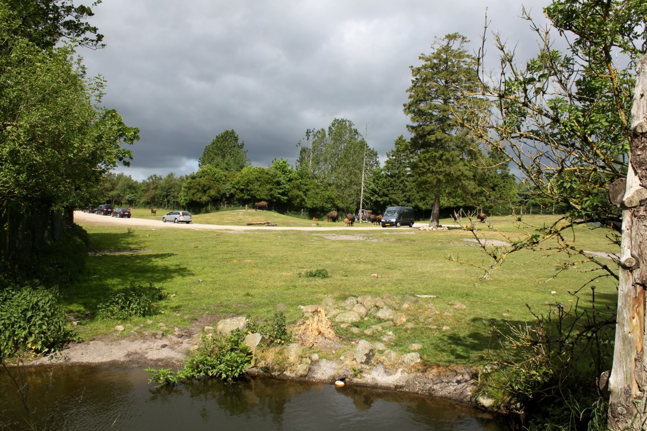 Givskud Zoo - North American prairie