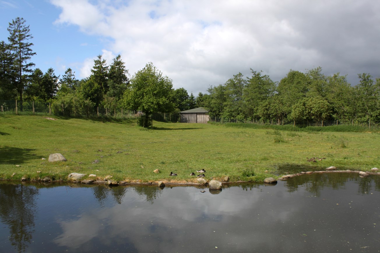 Givskud Zoo - North American prairie