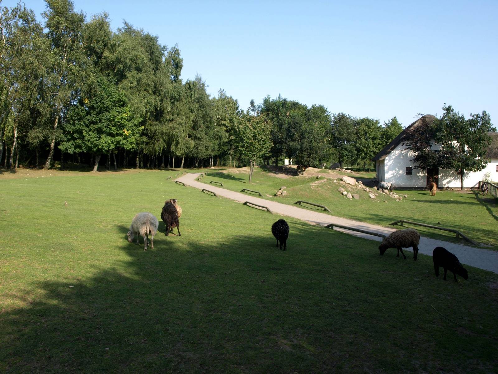 Givskud Zoo - Petting enclosure