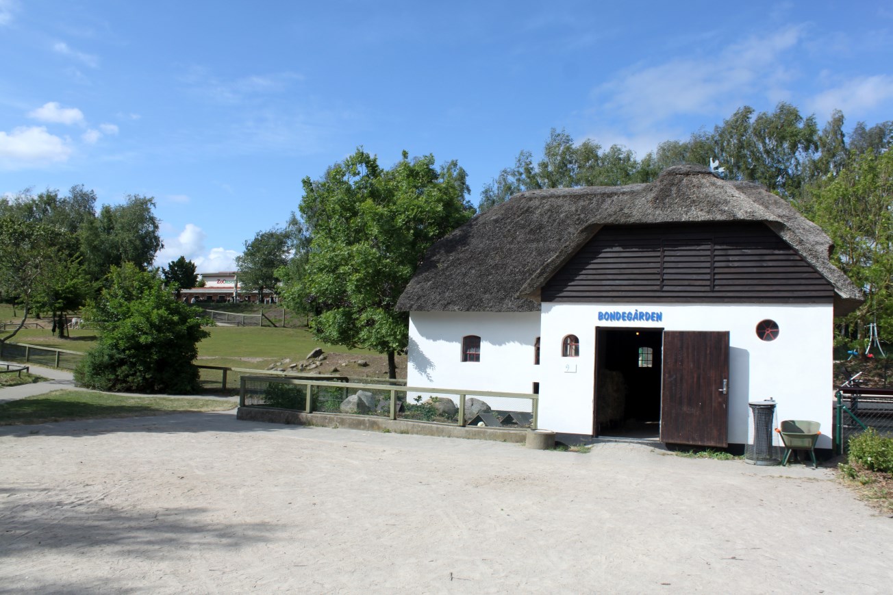 Givskud Zoo - Petting Zoo (Farm area)